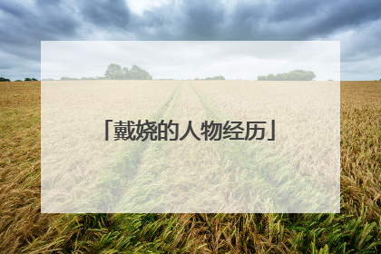 戴娆的人物经历