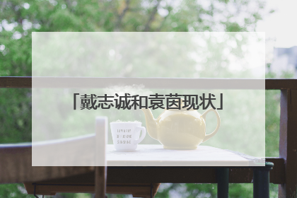 戴志诚和袁茵现状