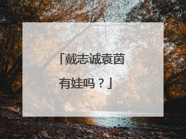 戴志诚袁茵有娃吗?