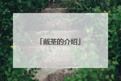 戴荃的介绍