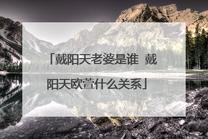 戴阳天老婆是谁 戴阳天欧萱什么关系