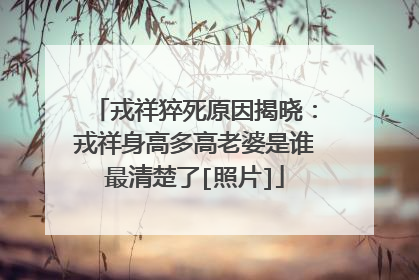 戎祥猝死原因揭晓：戎祥身高多高老婆是谁最清楚了[照片]