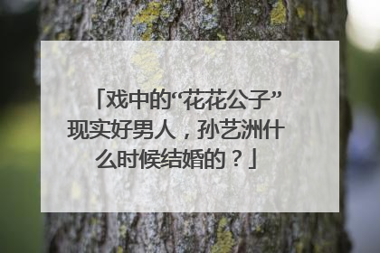 戏中的“花花公子”现实好男人,孙艺洲什么时候结婚的?