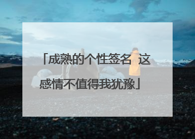 成熟的个性签名 这感情不值得我犹豫
