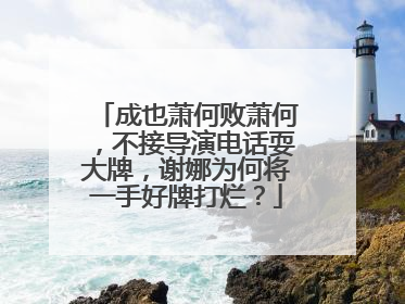 成也萧何败萧何，不接导演电话耍大牌，谢娜为何将一手好牌打烂？