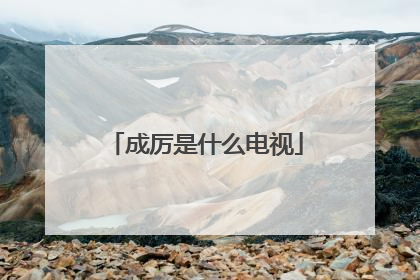 成厉是什么电视