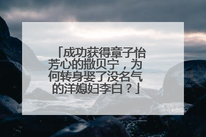 成功获得章子怡芳心的撒贝宁,为何转身娶了没名气的洋媳妇李白?