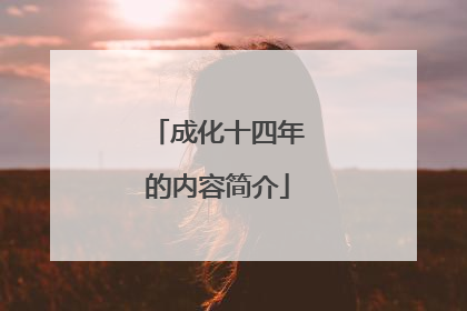 成化十四年的内容简介