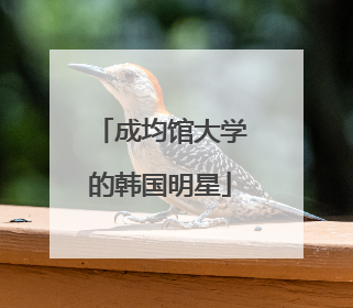 成均馆大学的韩国明星