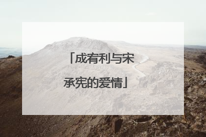 成宥利与宋承宪的爱情