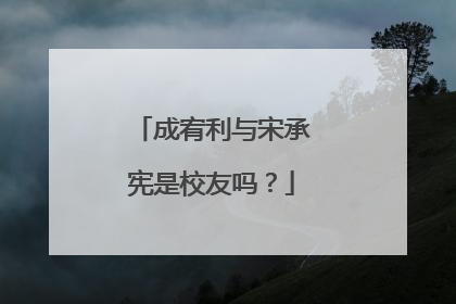 成宥利与宋承宪是校友吗?