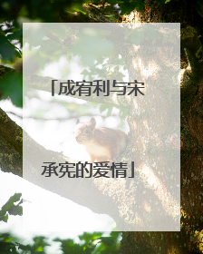 成宥利与宋承宪的爱情