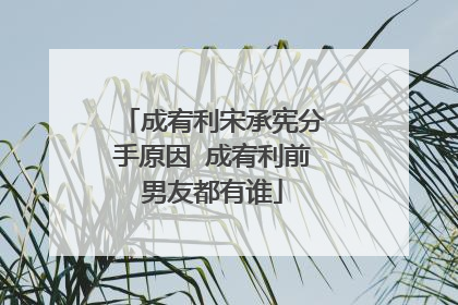 成宥利宋承宪分手原因 成宥利前男友都有谁