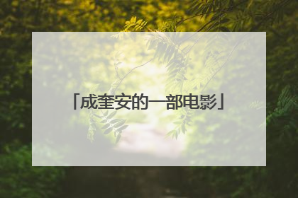 成奎安的一部电影