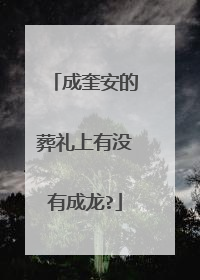 成奎安的葬礼上有没有成龙?