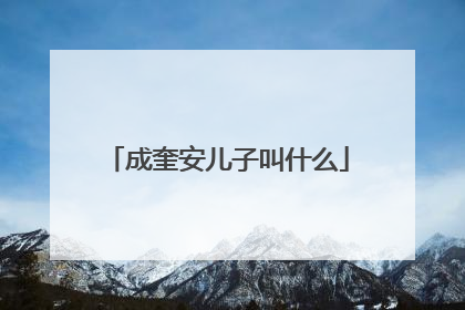 成奎安儿子叫什么