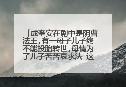 成奎安在剧中是阴曹法王,有一母子儿子终不能投胎转世,母情为了儿子苦苦哀求法 这是什么电影啊？