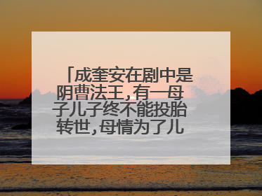 成奎安在剧中是阴曹法王,有一母子儿子终不能投胎转世,母情为了儿子苦苦哀求法 这是什么电影啊？