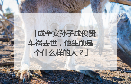 成奎安孙子成俊贤车祸去世，他生前是个什么样的人？