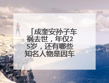 成奎安孙子车祸去世，年仅25岁，还有哪些知名人物是因车祸去世的？