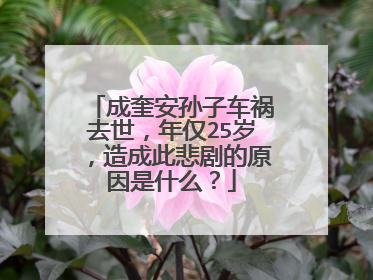 成奎安孙子车祸去世，年仅25岁，造成此悲剧的原因是什么？