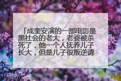成奎安演的一部电影是黑社会的老大，老婆被杀死了，他一个人抚养儿子长大，但是儿子很叛逆请问这是什么电