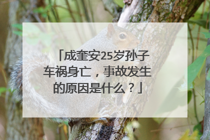 成奎安25岁孙子车祸身亡，事故发生的原因是什么？