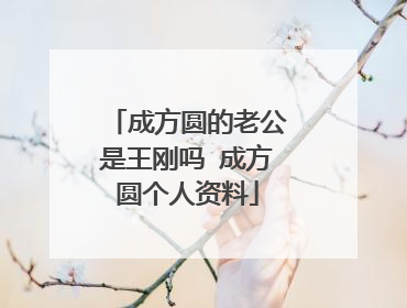 成方圆的老公是王刚吗 成方圆个人资料