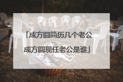 成方圆简历几个老公 成方圆现任老公是谁