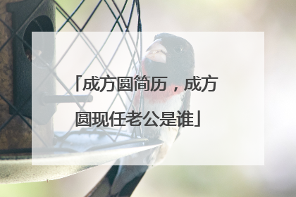 成方圆简历，成方圆现任老公是谁