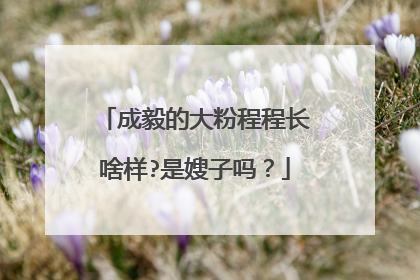 成毅的大粉程程长啥样?是嫂子吗?