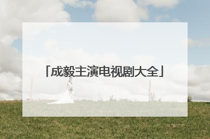 成毅主演电视剧大全