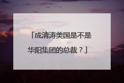 成清涛美国是不是华阳集团的总裁?