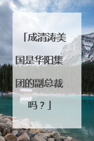 成清涛美国是华阳集团的副总裁吗?