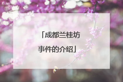 成都兰桂坊事件的介绍