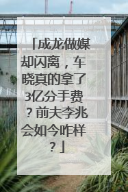 成龙做媒却闪离,车晓真的拿了3亿分手费?前夫李兆会如今咋样?