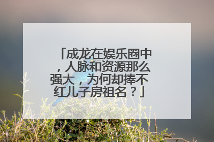 成龙在娱乐圈中，人脉和资源那么强大，为何却捧不红儿子房祖名？