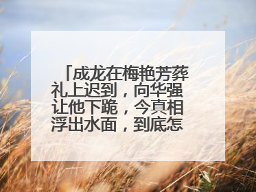 成龙在梅艳芳葬礼上迟到，向华强让他下跪，今真相浮出水面，到底怎么回事？