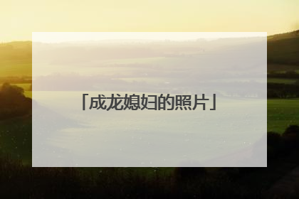 成龙媳妇的照片