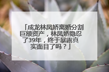 成龙林凤娇离婚分割巨额资产,林凤娇隐忍了39年,终于暴露真实面目了吗?