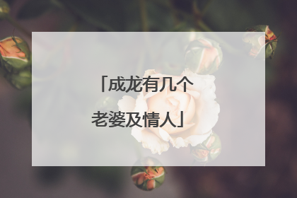 成龙有几个老婆及情人