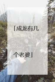 成龙有几个老婆