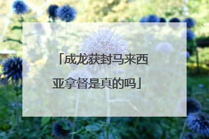 成龙获封马来西亚拿督是真的吗