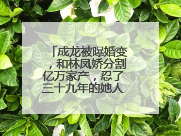 成龙被曝婚变，和林凤娇分割亿万家产，忍了三十九年的她人设崩了么？