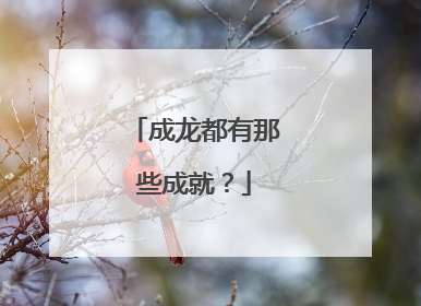 成龙都有那些成就？