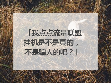 我点点流量联盟挂机是不是真的，不是骗人的吧？