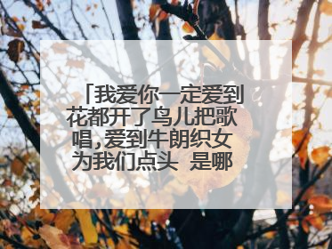 我爱你一定爱到花都开了鸟儿把歌唱,爱到牛朗织女为我们点头 是哪首歌的歌词？