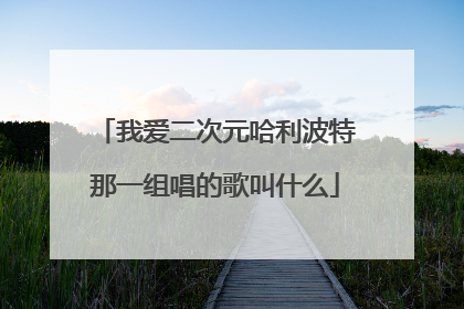 我爱二次元哈利波特那一组唱的歌叫什么