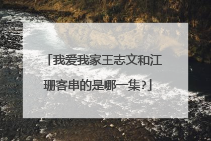 我爱我家王志文和江珊客串的是哪一集?