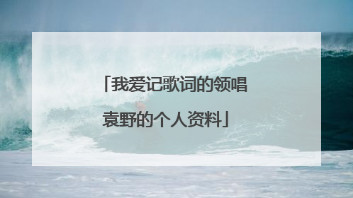 我爱记歌词的领唱袁野的个人资料